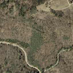 Satellite imagery of Buck Ridge, US