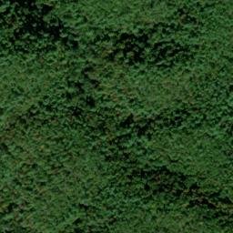 Satellite imagery of Shop Ridge, US