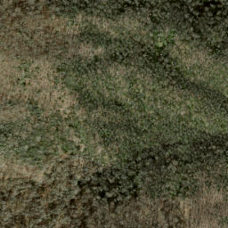 Satellite imagery of Asgini Ridge, US