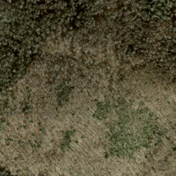 Satellite imagery of Jenkins Trail Ridge, US