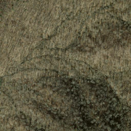 Satellite imagery of Long Cove Ridge, US