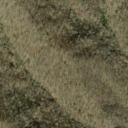 Satellite imagery of Long Cove Ridge, US