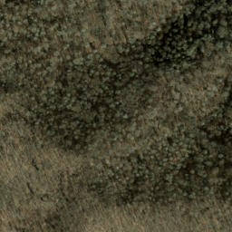 Satellite imagery of Rough Ridge, US