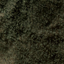 Satellite imagery of Maggot Ridge, US