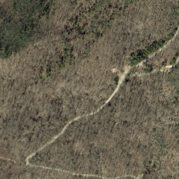 Satellite imagery of Buck Ridge, US