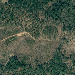Satellite imagery of Wolf Pen Mountain, US
