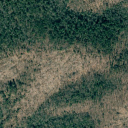 Satellite imagery of Wolf Pen Mountain, US