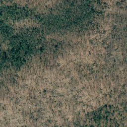 Satellite imagery of Wolf Pen Mountain, US