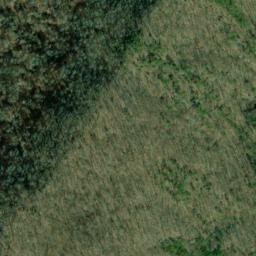 Satellite imagery of Ward Ridge, US