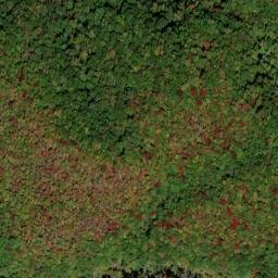 Satellite imagery of Mollies Ridge, US