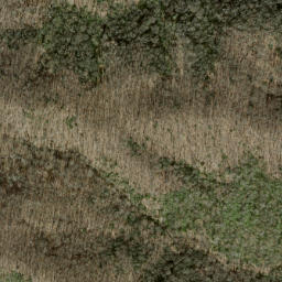 Satellite imagery of Asgini Ridge, US