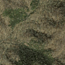 Satellite imagery of Bearwallow Ridge, US