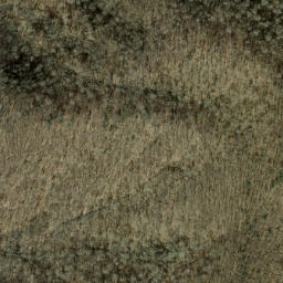 Satellite imagery of Bearwallow Ridge, US