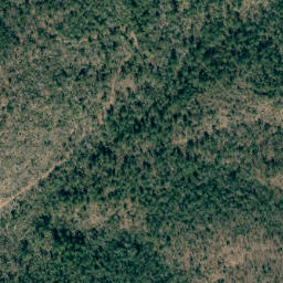Satellite imagery of Wolf Pen Mountain, US