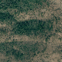 Satellite imagery of Wolf Pen Mountain, US