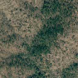 Satellite imagery of Wolf Pen Mountain, US