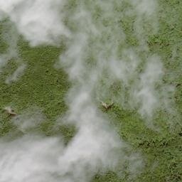 Satellite imagery of 白剥山, JP