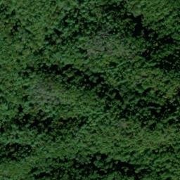 Satellite imagery of Skunk Ridge, US