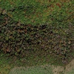 Satellite imagery of Mollies Ridge, US