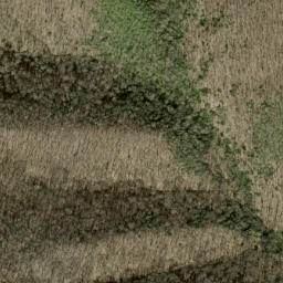 Satellite imagery of Asgini Ridge, US