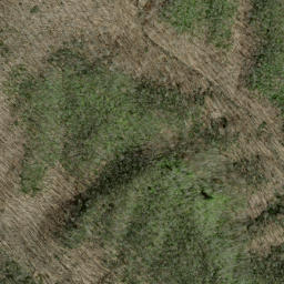 Satellite imagery of Woolly Ridge, US