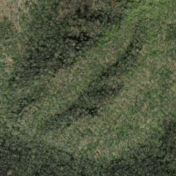 Satellite imagery of Little Chestnut Ridge, US