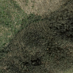 Satellite imagery of Little Chestnut Ridge, US