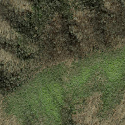 Satellite imagery of Rough Arm, US