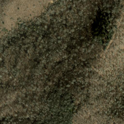 Satellite imagery of Rough Ridge, US