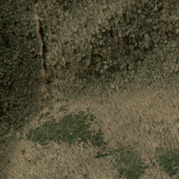 Satellite imagery of Brown Lead, US