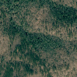 Satellite imagery of Wolf Pen Mountain, US