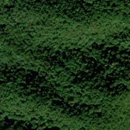 Satellite imagery of Skunk Ridge, US