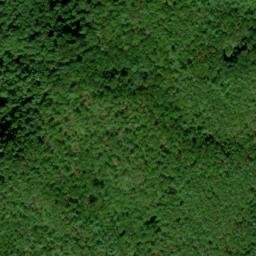 Satellite imagery of Skunk Ridge, US