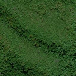 Satellite imagery of Skunk Ridge, US