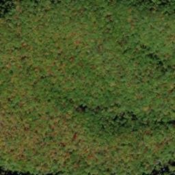 Satellite imagery of Sugar Cove Ridge, US