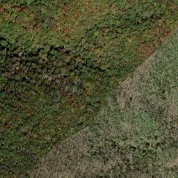 Satellite imagery of Short Ridge, US