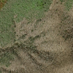 Satellite imagery of Short Ridge, US