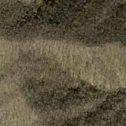 Satellite imagery of Ivy Ridge, US