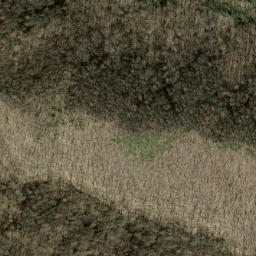 Satellite imagery of Ivy Ridge, US