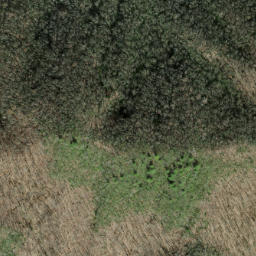 Satellite imagery of Little Chestnut Ridge, US