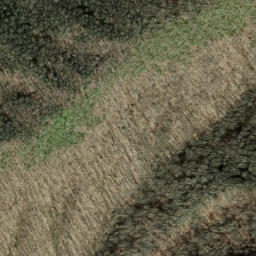 Satellite imagery of Little Chestnut Ridge, US