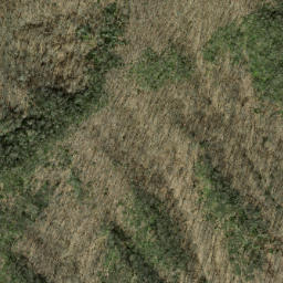 Satellite imagery of Rough Arm, US