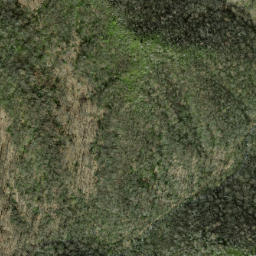 Satellite imagery of Rough Arm, US