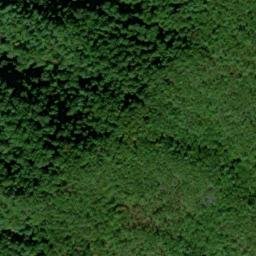 Satellite imagery of Skunk Ridge, US