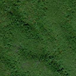 Satellite imagery of Skunk Ridge, US