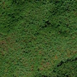 Satellite imagery of Parson Lead, US