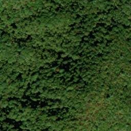 Satellite imagery of Parson Lead, US