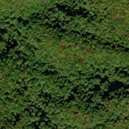 Satellite imagery of Doe Ridge, US