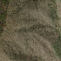 Satellite imagery of Short Ridge, US