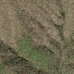 Satellite imagery of Short Ridge, US